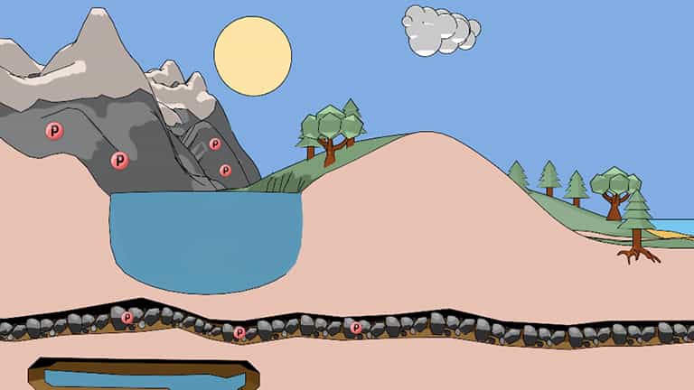 Biogeochemical Cycles: the Phosphorus Cycle