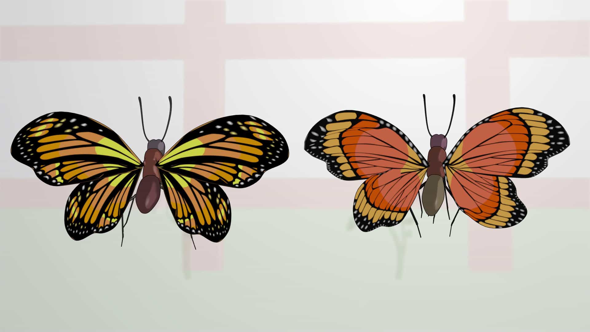 Species and Reproductive Isolation
