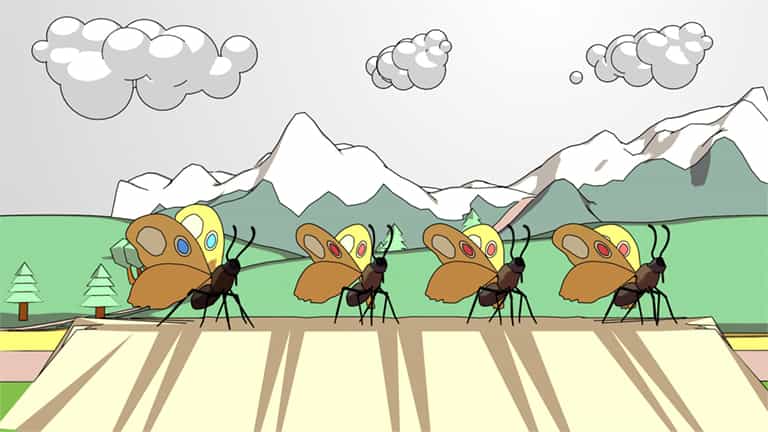 Frequency-dependent Selection and Phenotype Fitness
