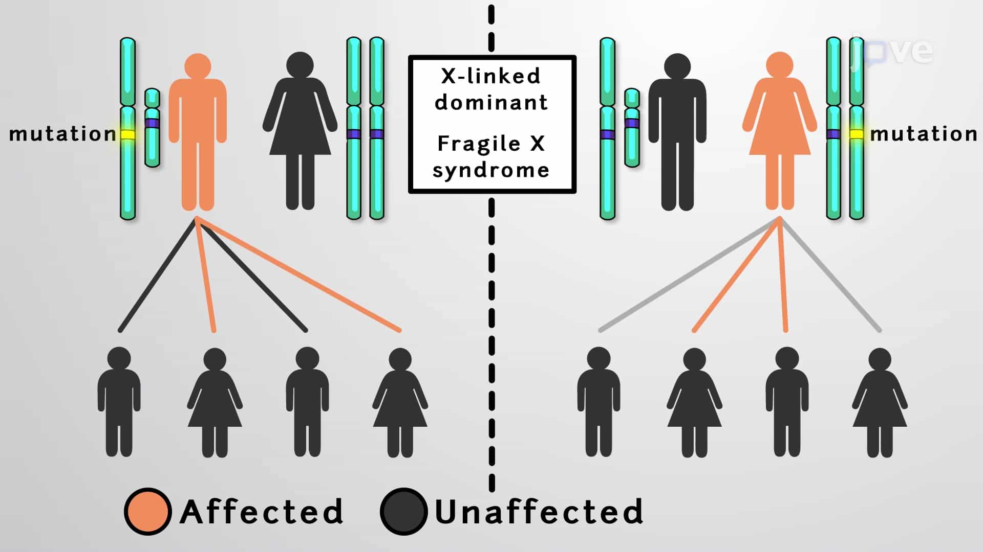 Sex Linked Disorders : Y-Linked Infertility, Fragile-X Syndrome and Duchenne's Muscular Dystrophy