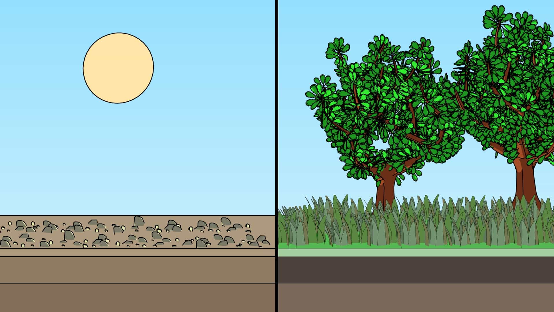 Ecological Succession and Climax Communities