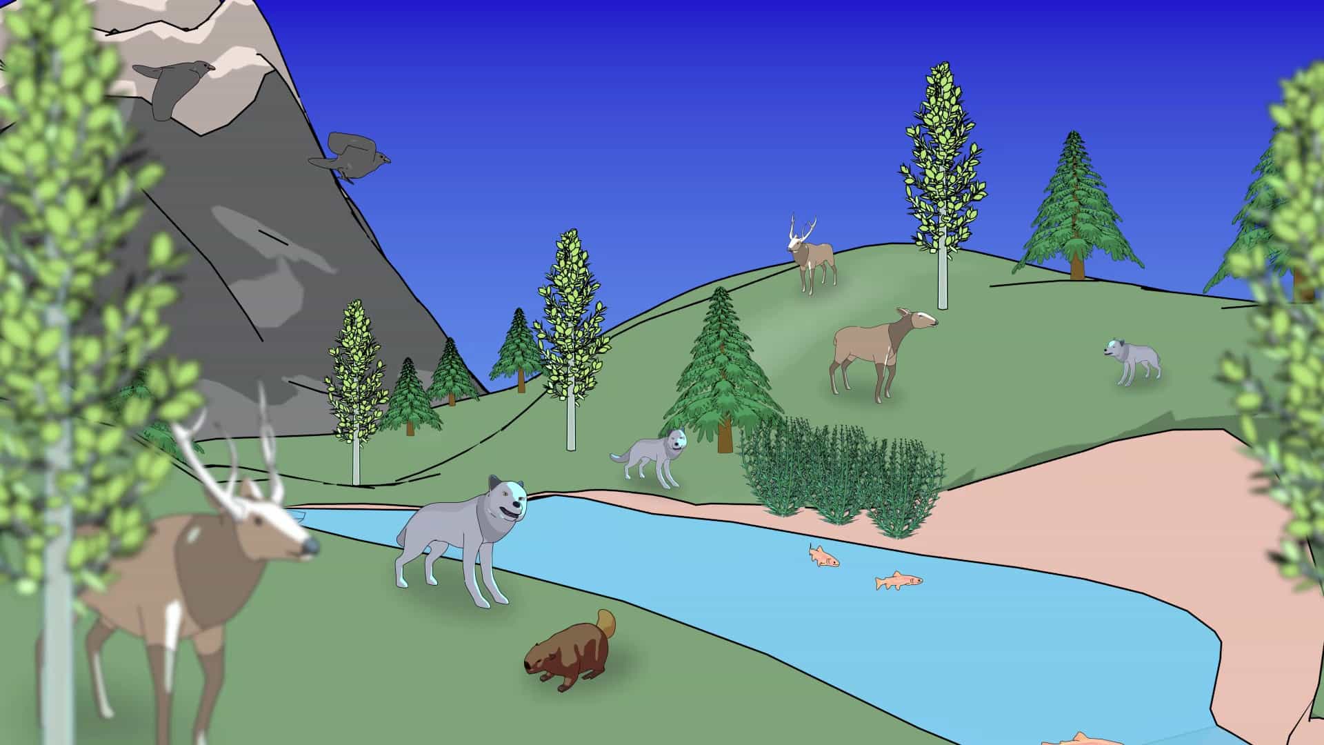 Conservation Biology and Ecosystem Health