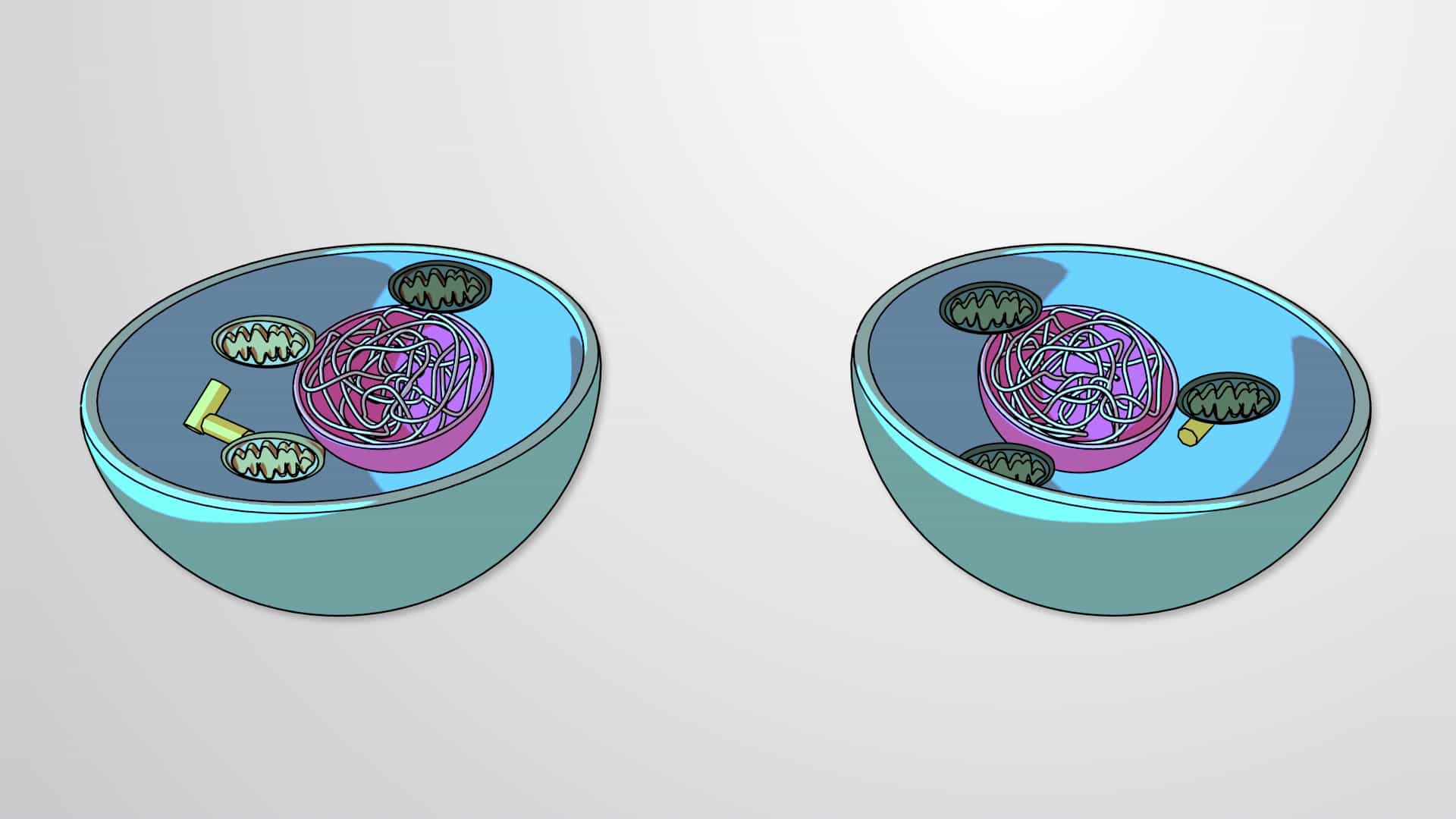 Non-nuclear and Maternal Inheritance