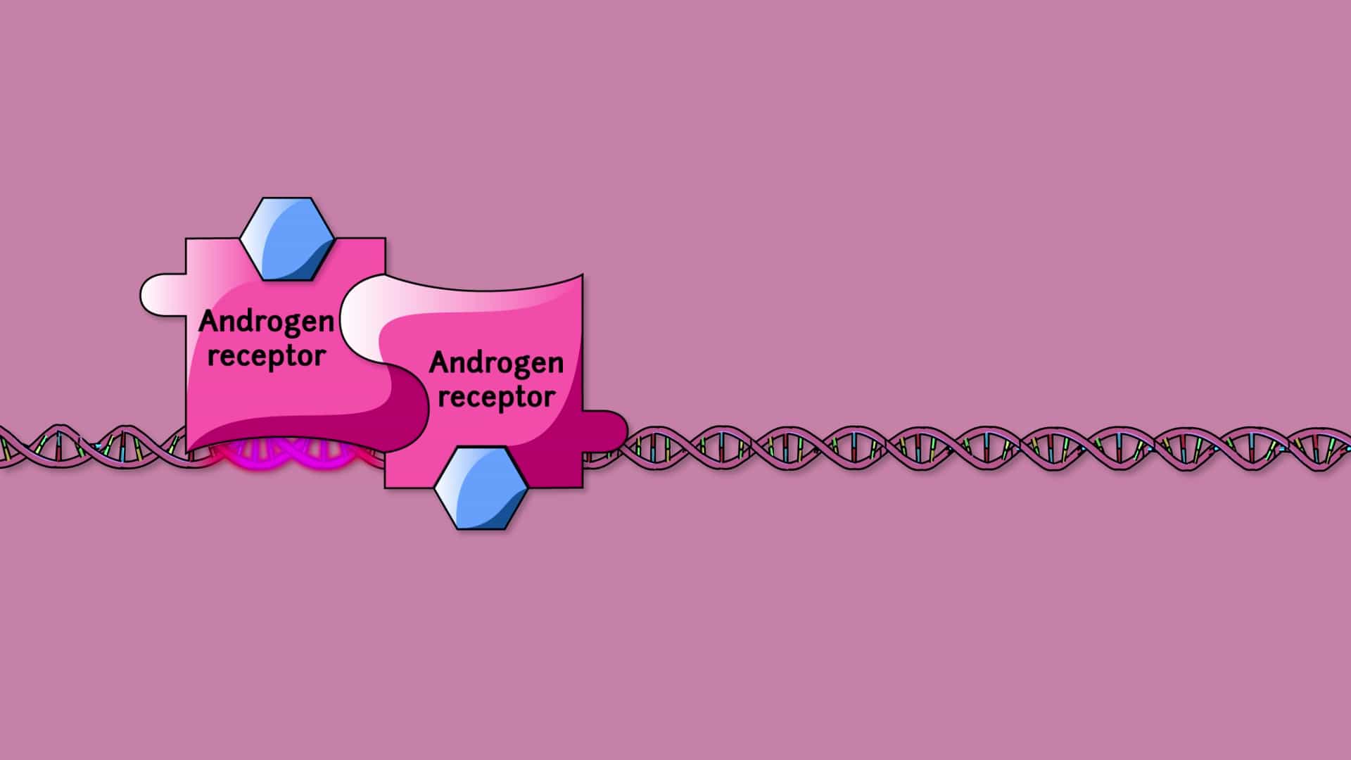 Internal Receptors and Steroid Hormones