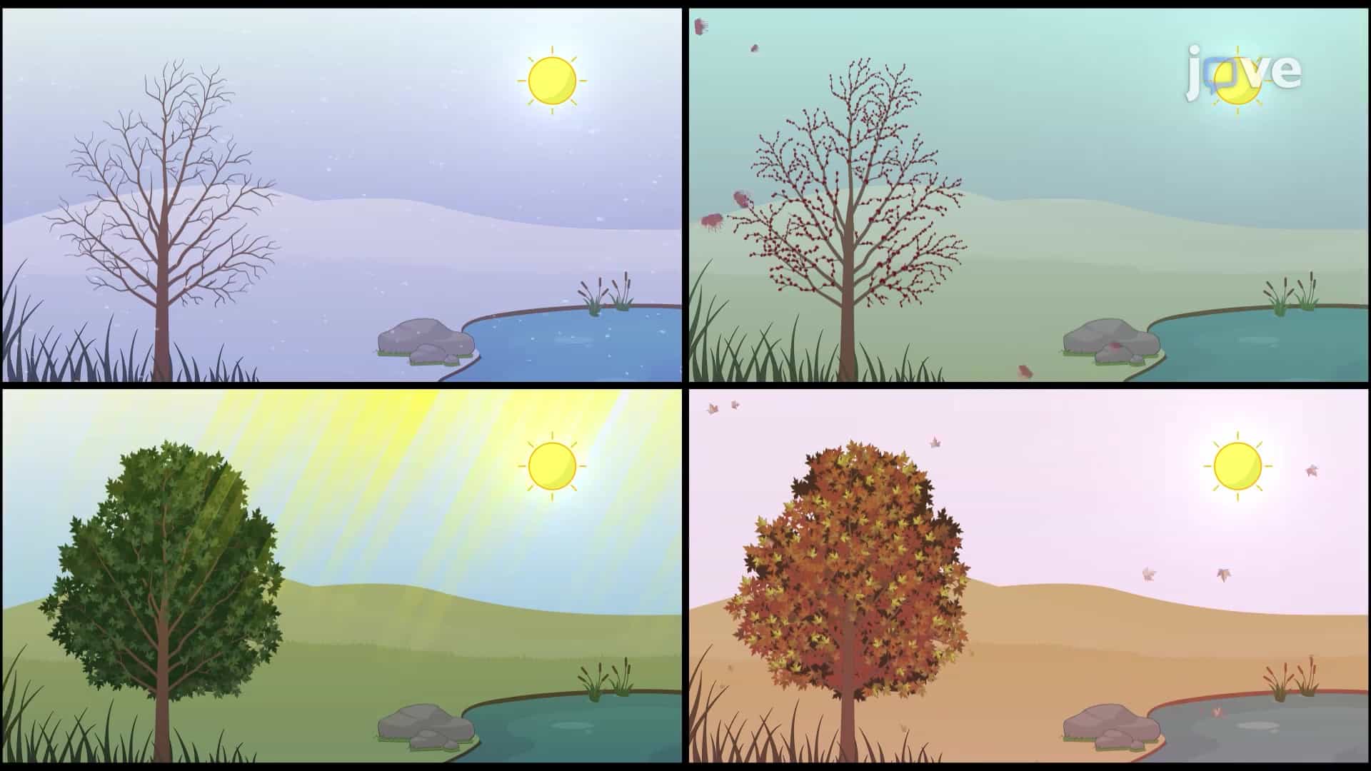 Biological Clocks and Seasonal Responses