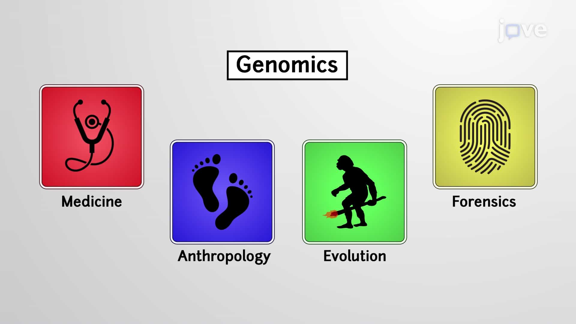 Genomics and the Human Genome Project