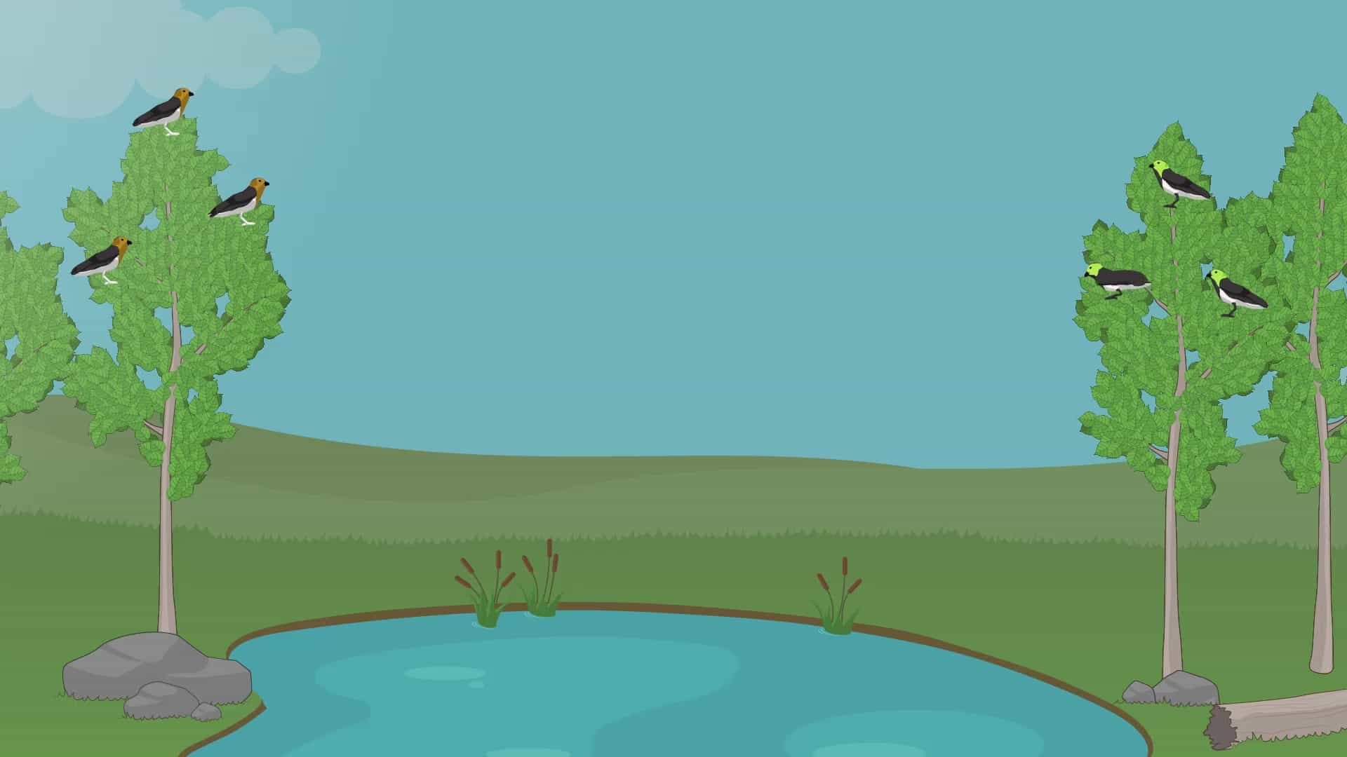 Gene Flow in Evolving Populations and Species