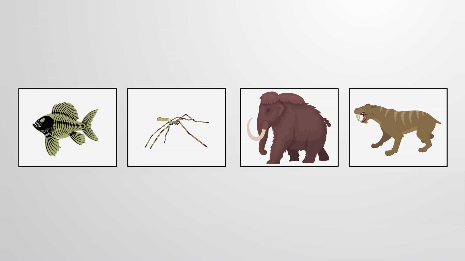 Evolutionary History of Life on Earth