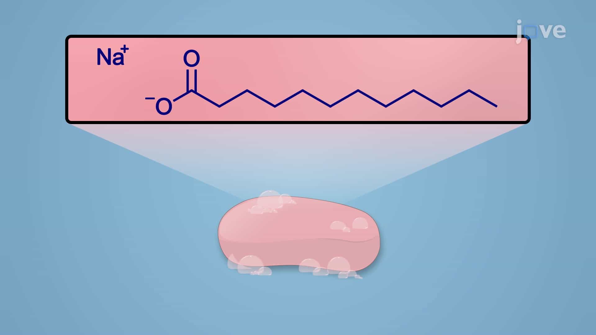 Hydrolysis of an Ester: Preparation of Soap - Concept
