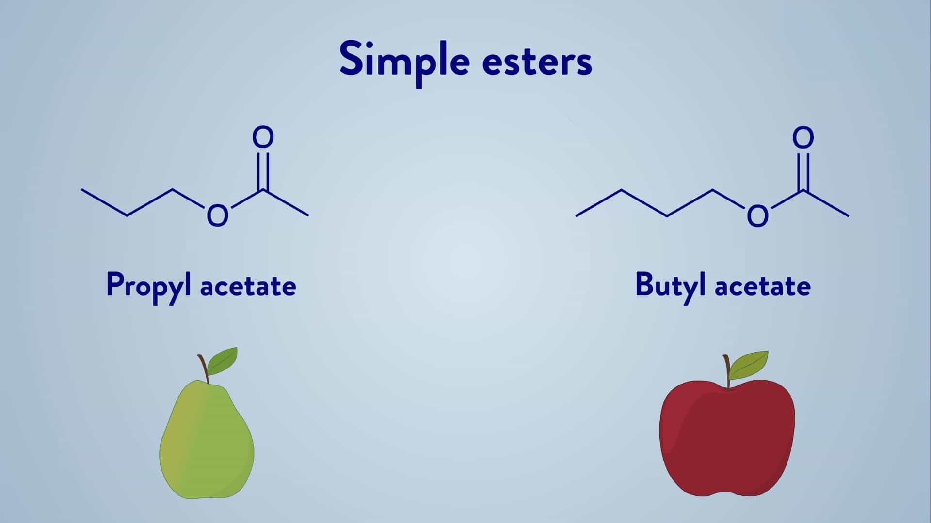 Esterification: Synthesis of Ester by Fischer Esterification - Prep