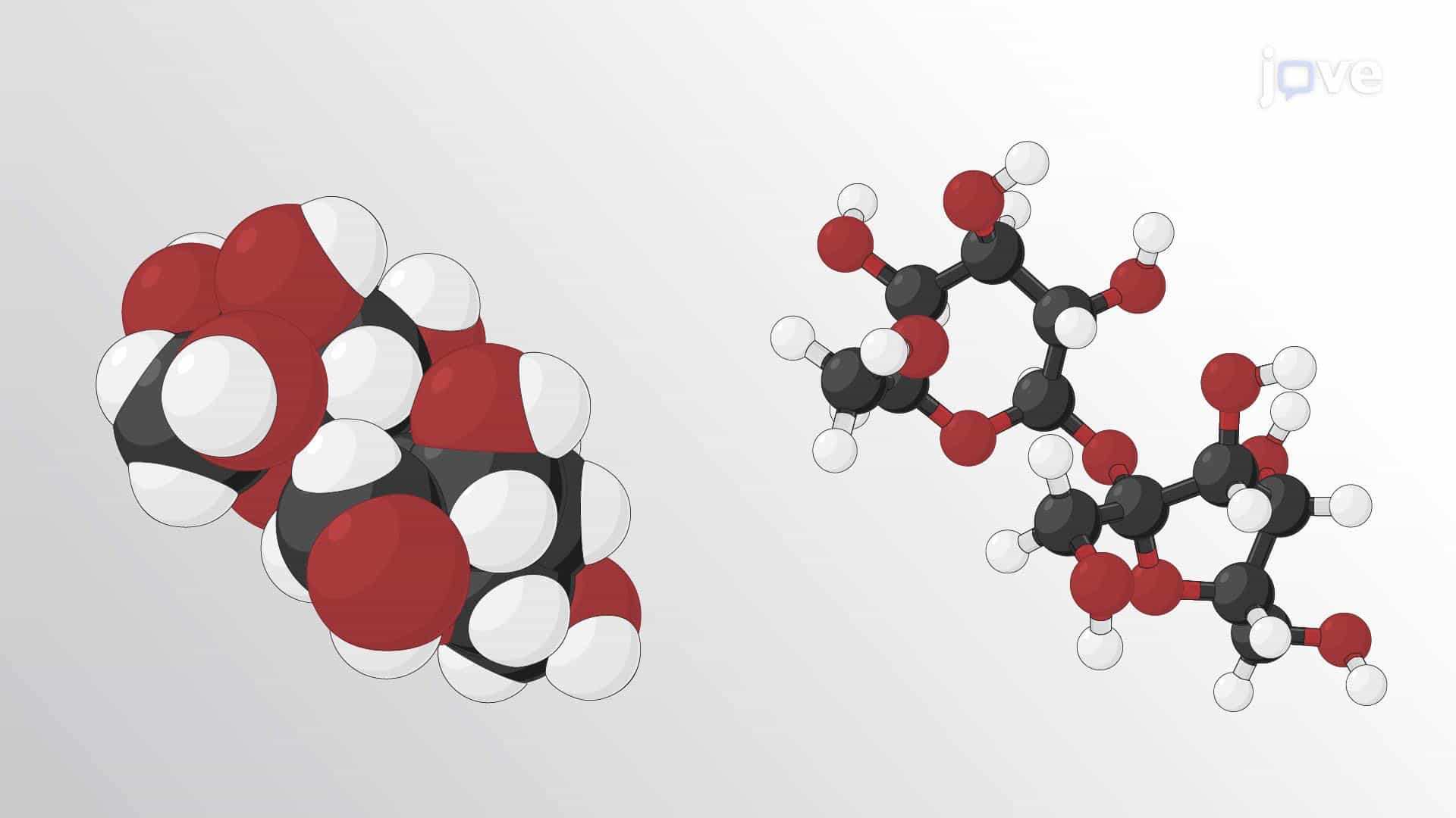 Molecular Models: Ball-and-stick and Space-filling Models