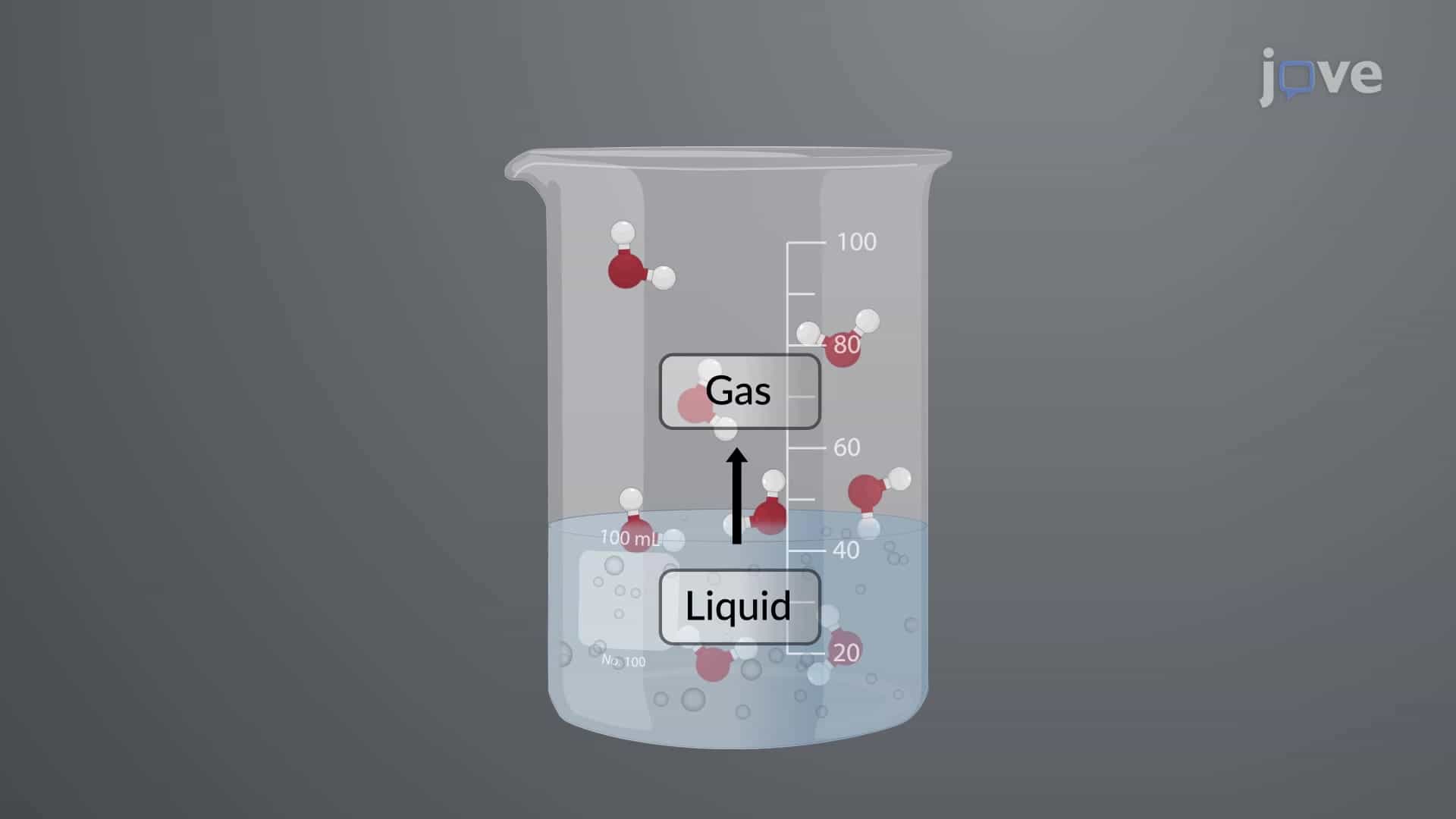 Vaporization and Condensation: Vapor-Liquid Equilibrium