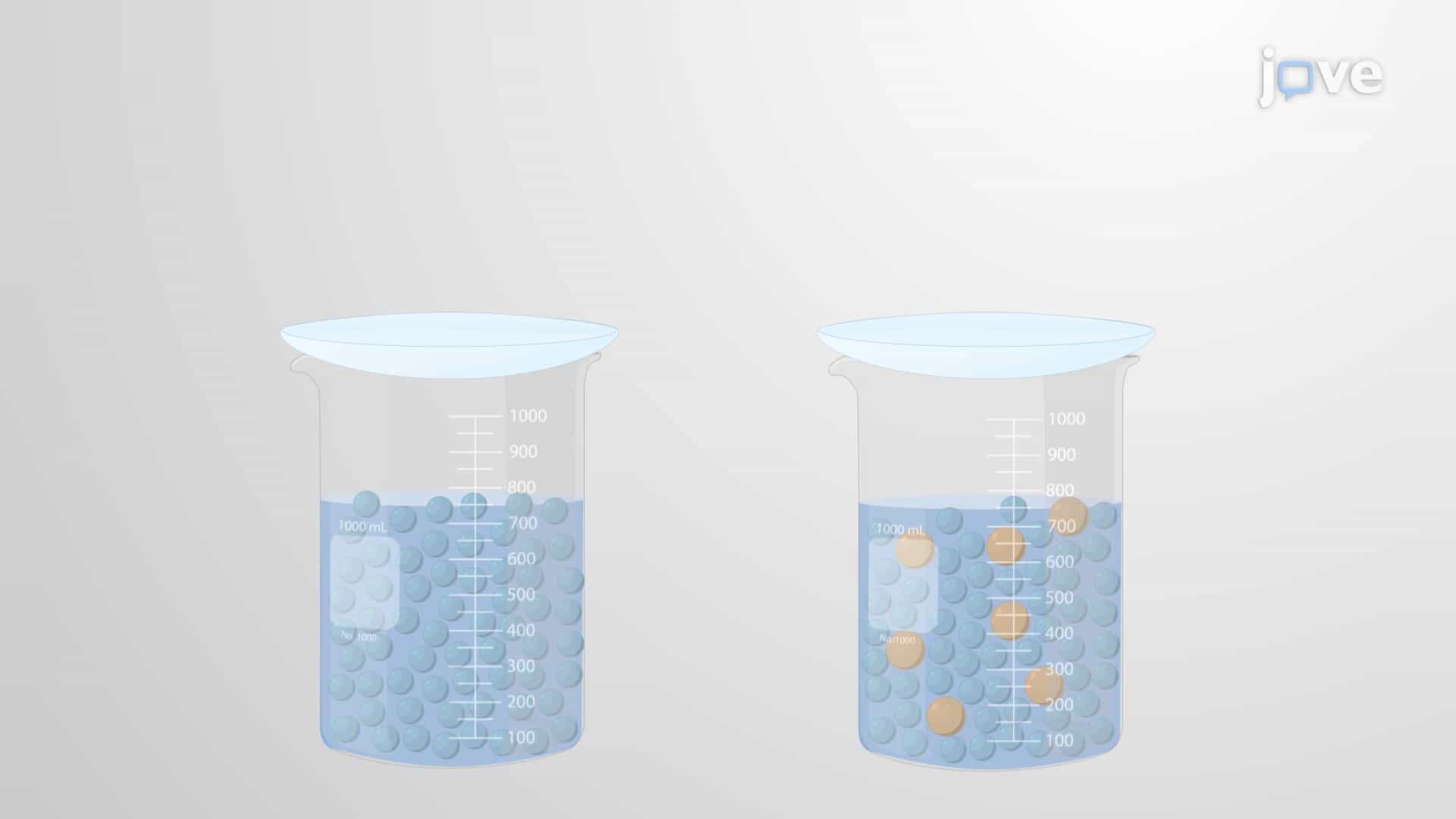 Colligative Properties; Raoult's Law &amp; Vapor Pressure Lowering