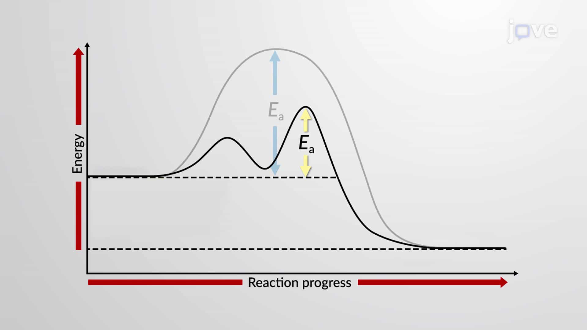Catalysis: Homogenious and Heterogeneous Catalysis