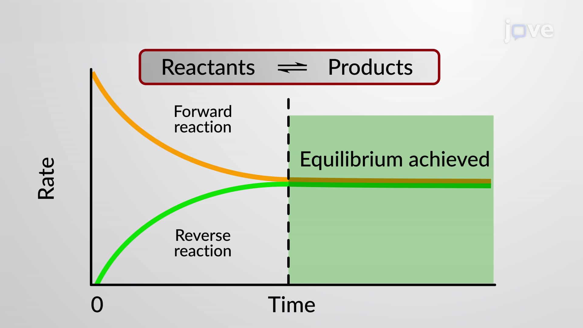 Dynamic Equilibrium; Homogeneous and Heterogeneous Equilibria