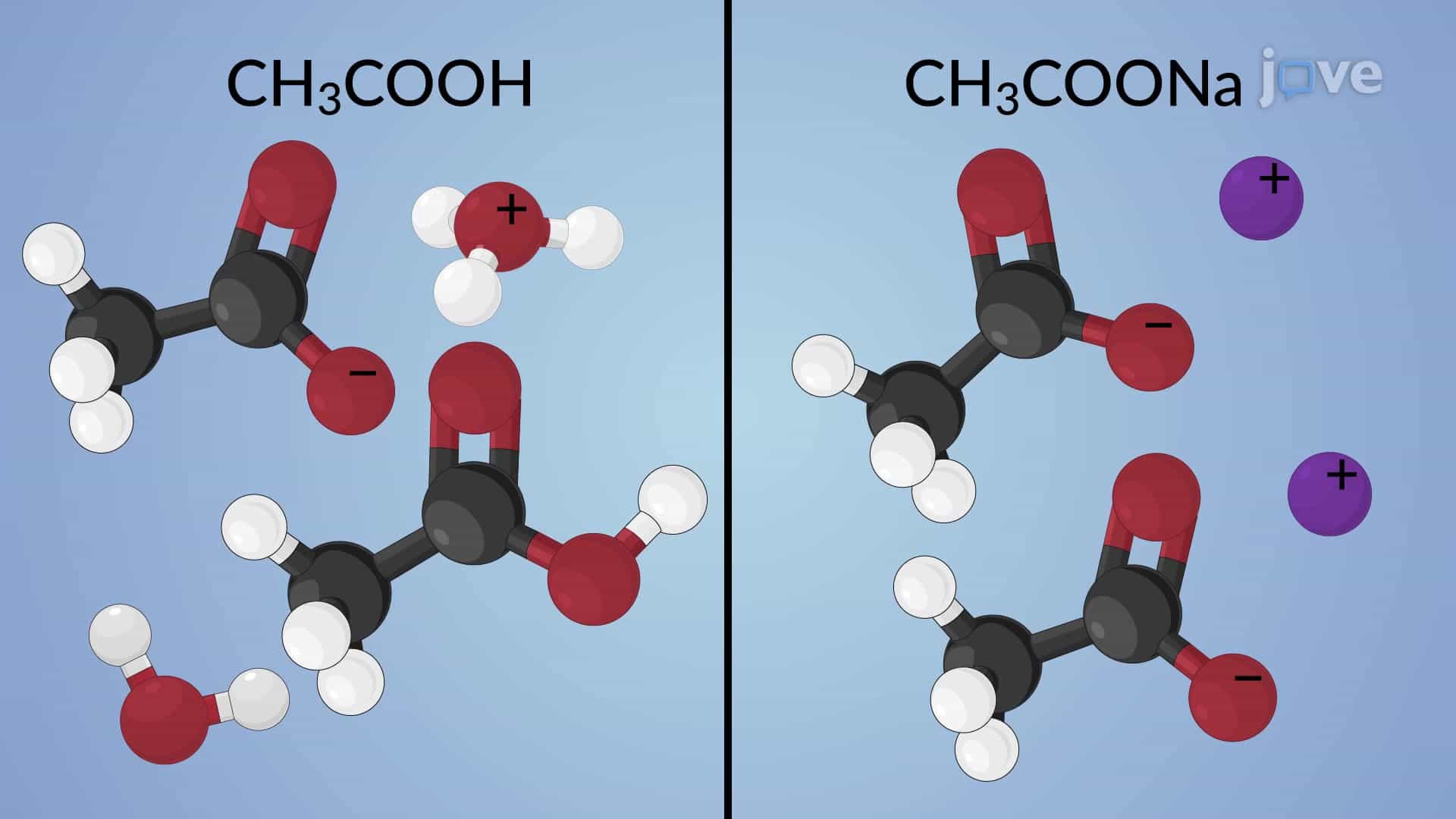 Common Ion Effect and Dissociation/Ionization Equilibria