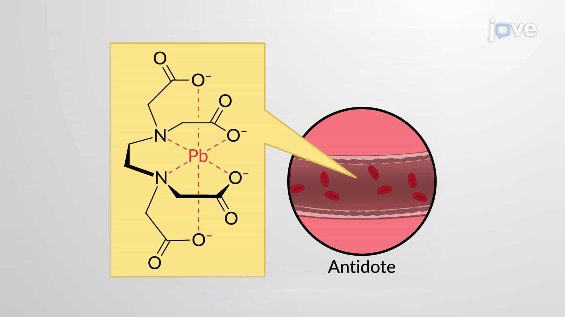 Metal-Ligand Bonds: Mono-, Di- &amp; Polydentate Ligands; Chelation
