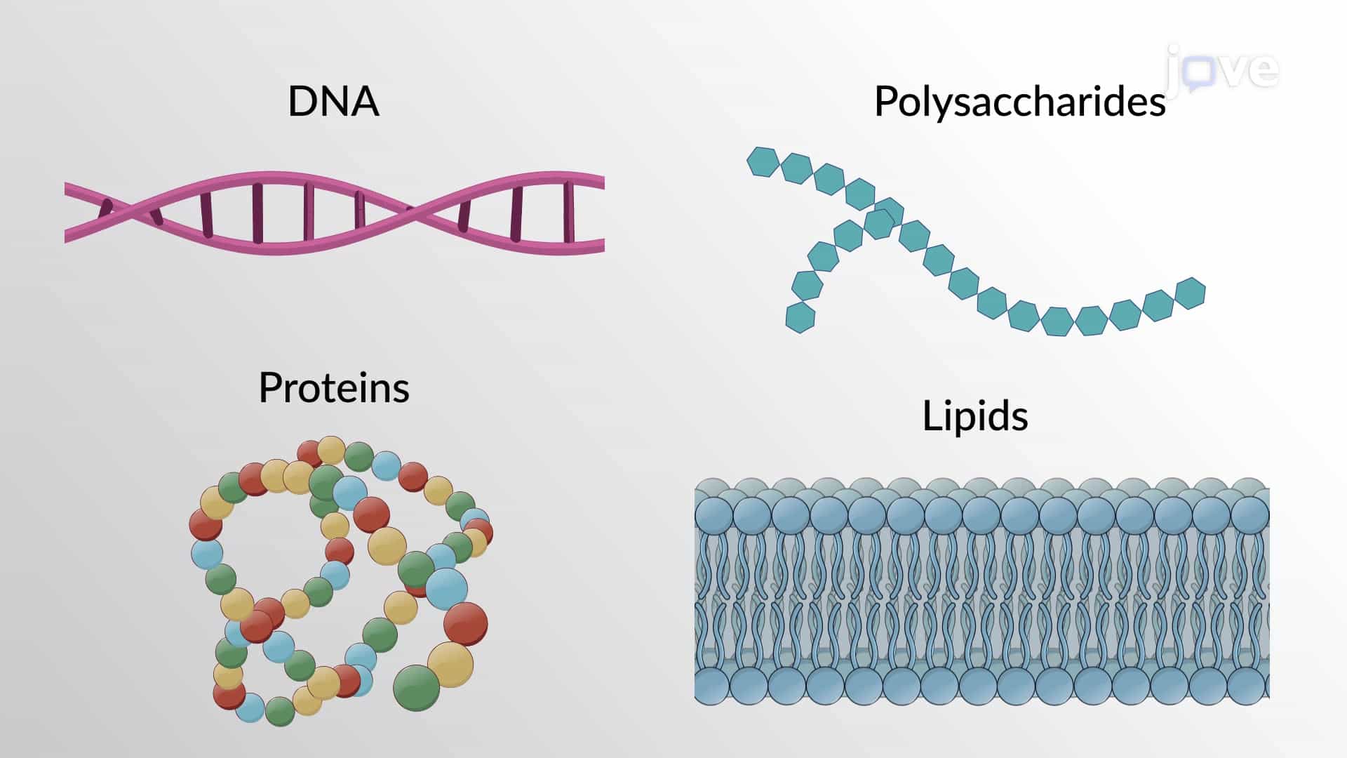 Polymers: Addition and Condensation Polymerization