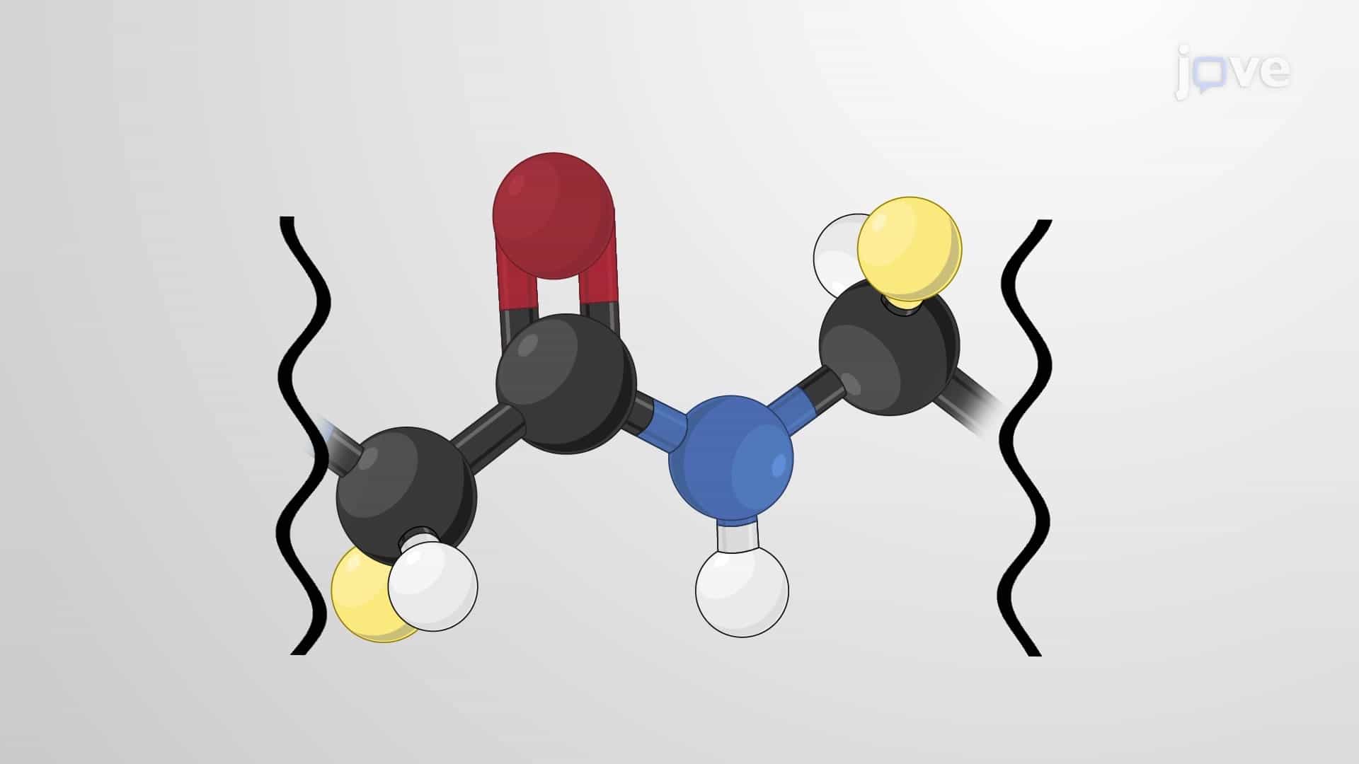 Peptide Bonds: Formation, Structure and Conformation