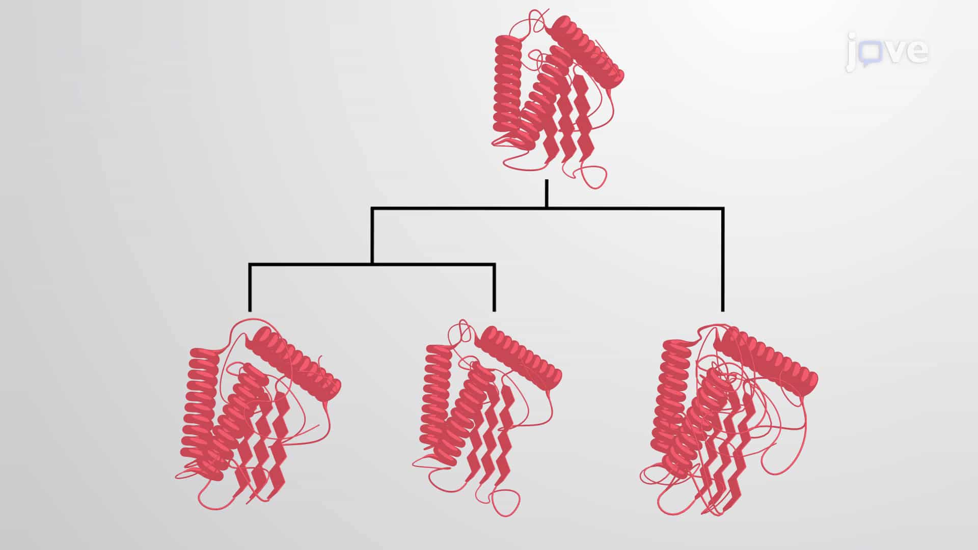 Protein Families and Superfamilies &amp; Classification Database