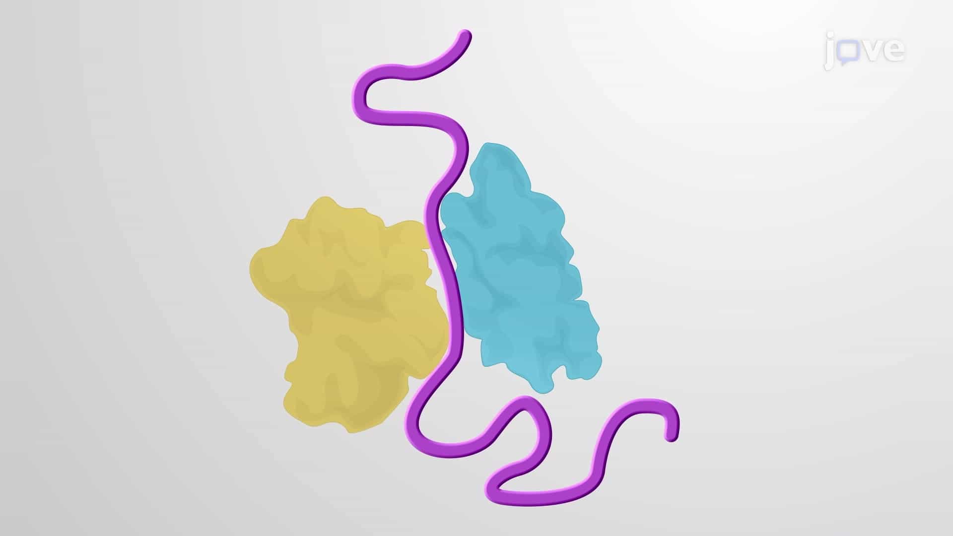 Factors Affecting Intrinsically Disordered Proteins