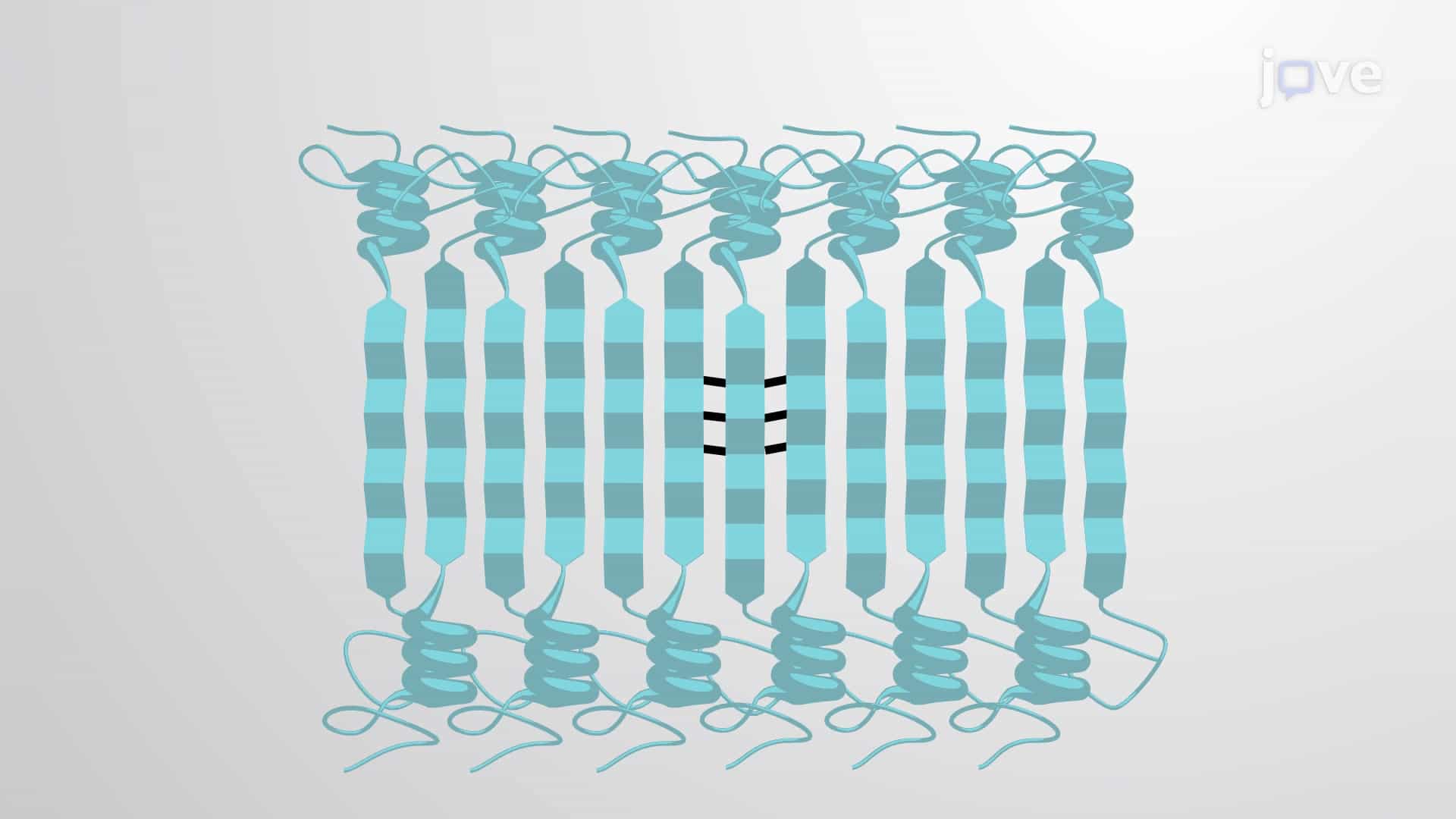 Amyloid Fibrils: Misfolded Protein Aggregates