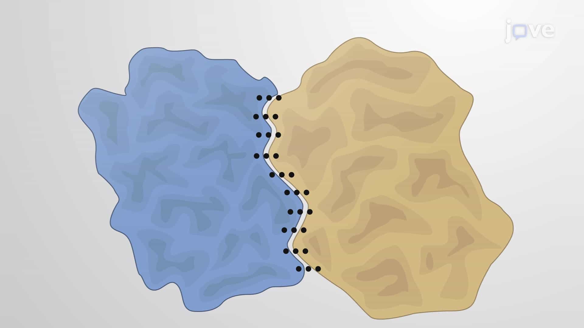 Protein Complexes and Protein-Protein Interactions