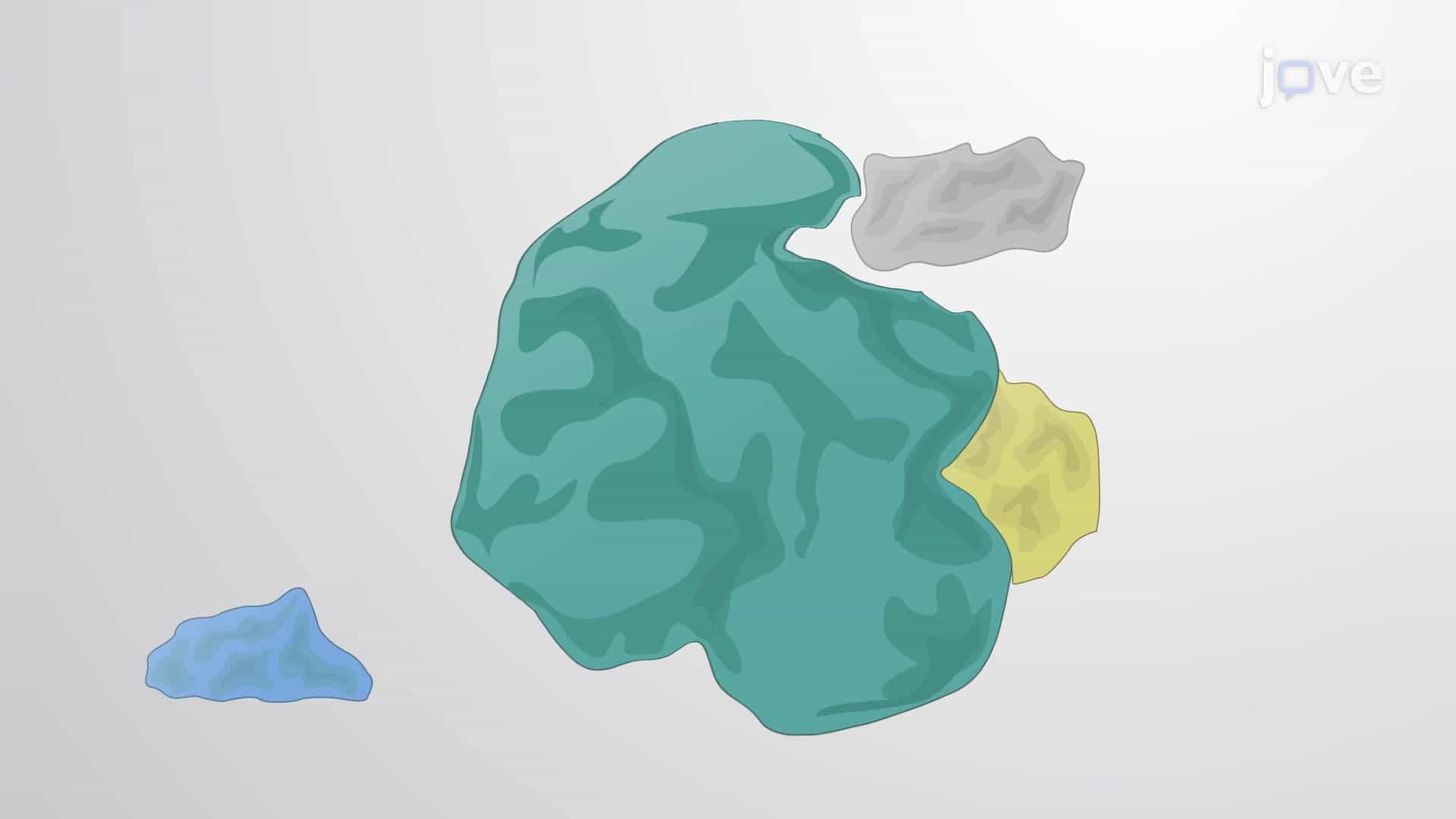Allosteric Proteins, Ligand Binding and Linkage