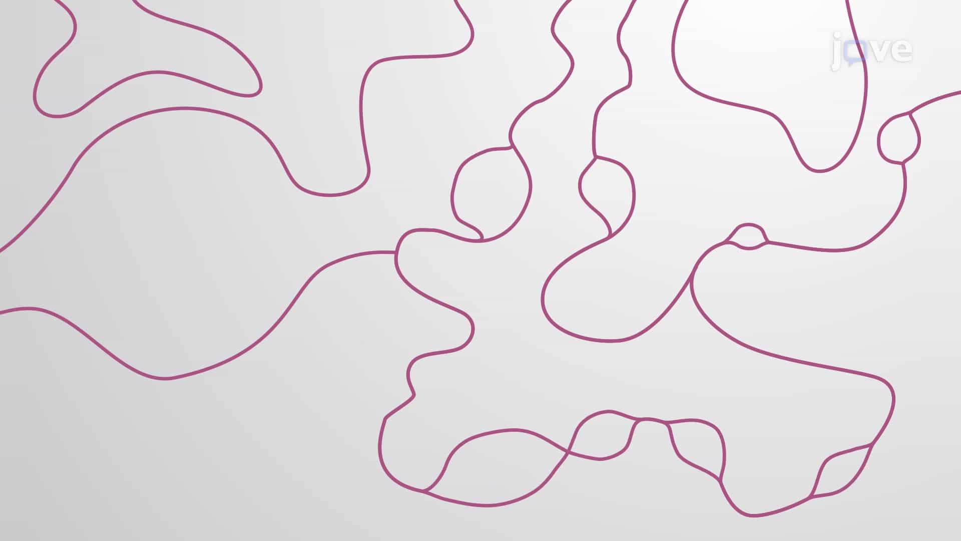 Origins of Replication: Chromosome &amp; Histone Replication