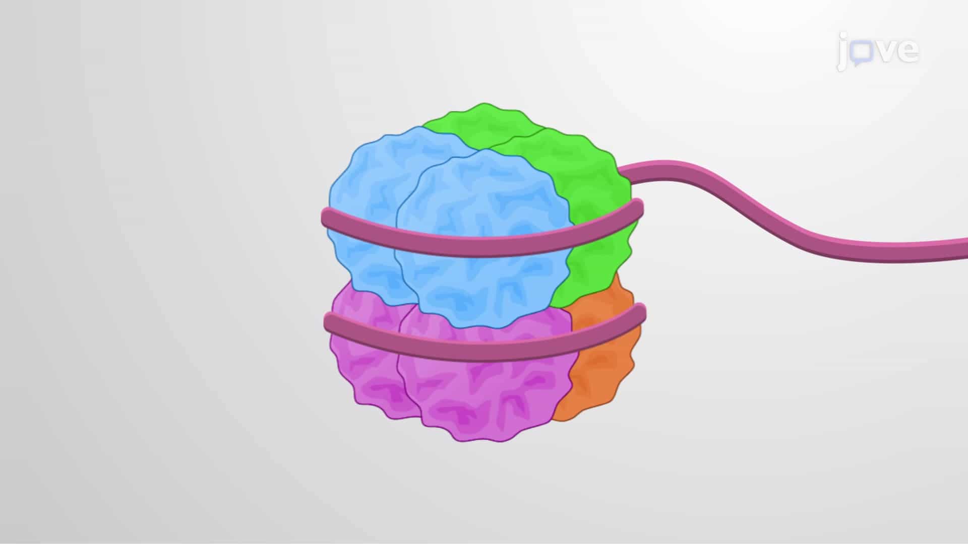 The Nucleosome Core Particle: Histone Octamer, Histone Fold