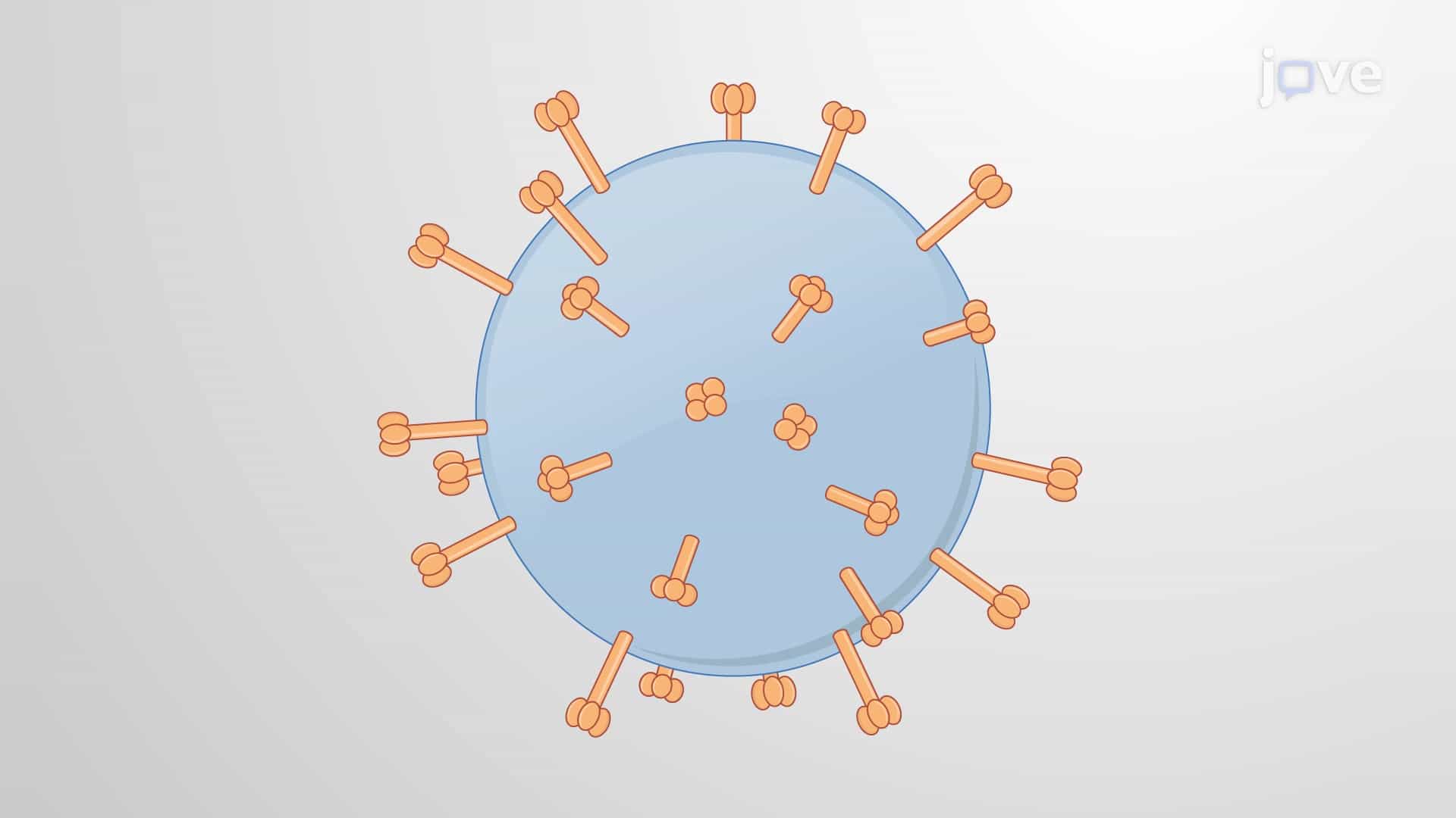 Retroviruses and Retrotransposons