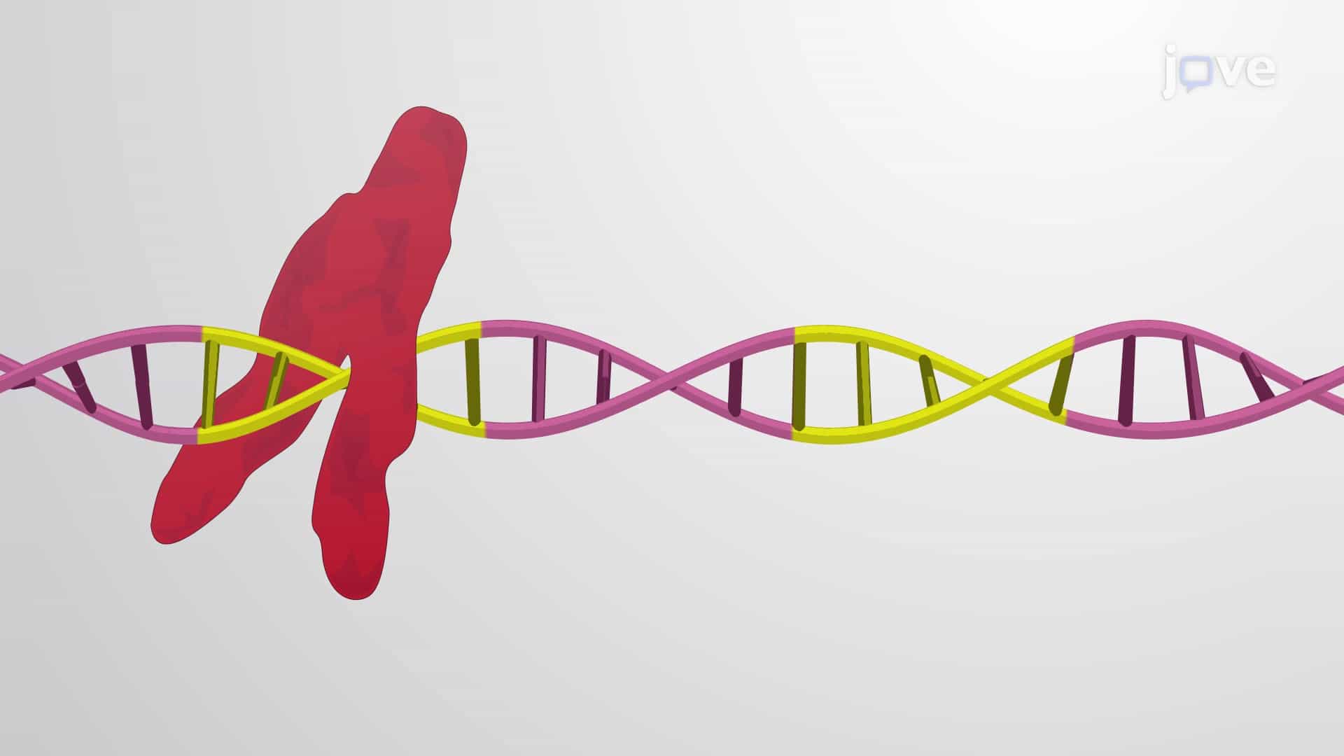 Cis-regulatory Sequences: Short Fragments of Non-coding DNA