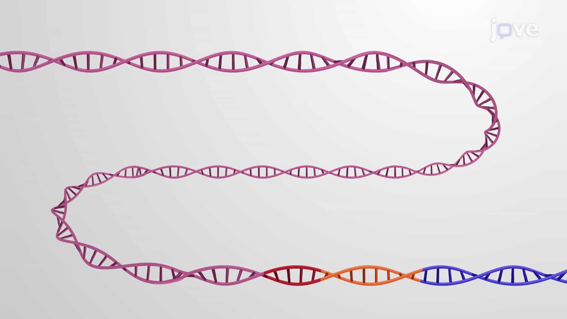The Eukaryotic Promoter Region: RNA Polymerase Binding Site