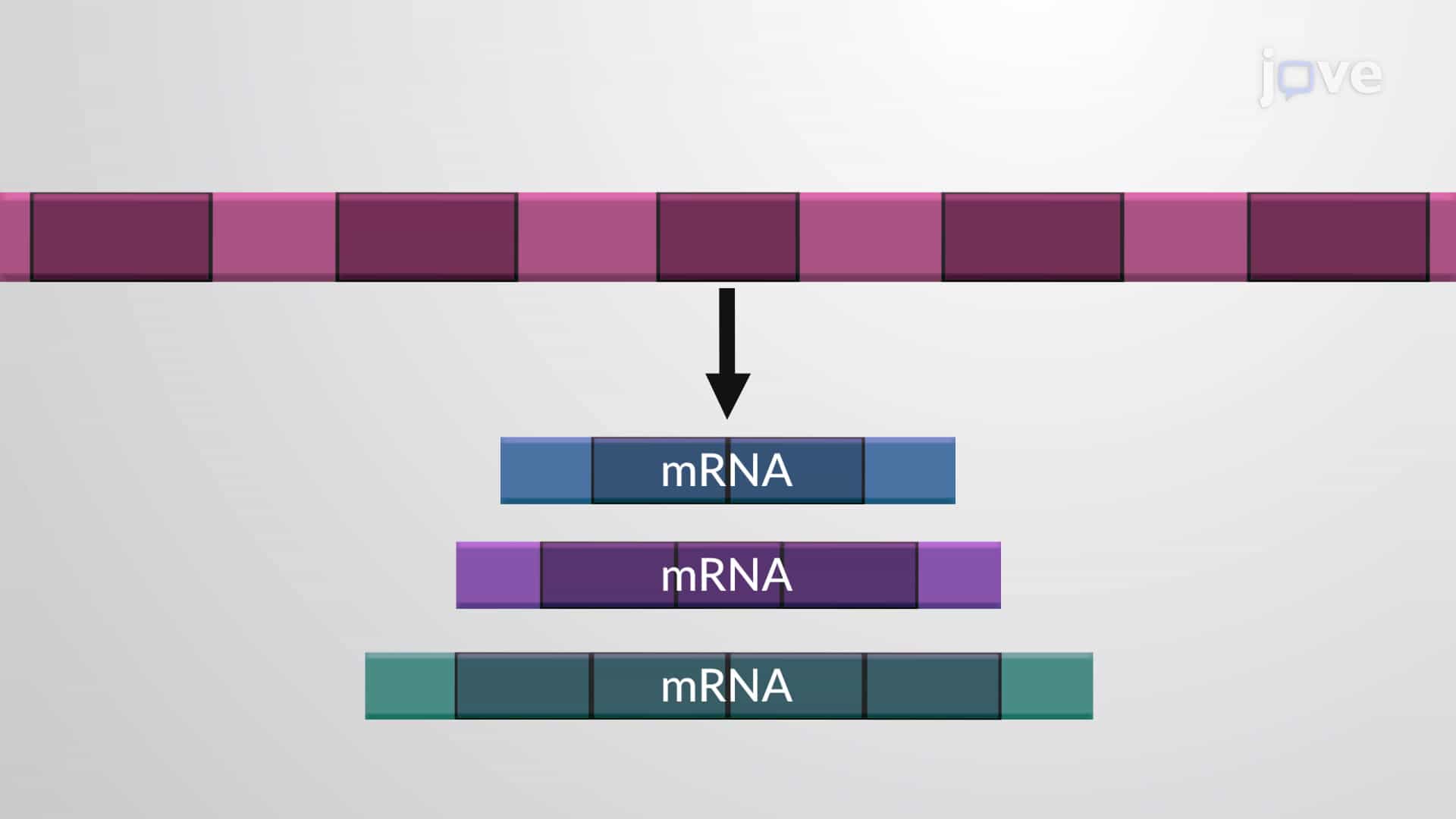 Alternative RNA Splicing: Regulated Splicing of Exons and Introns