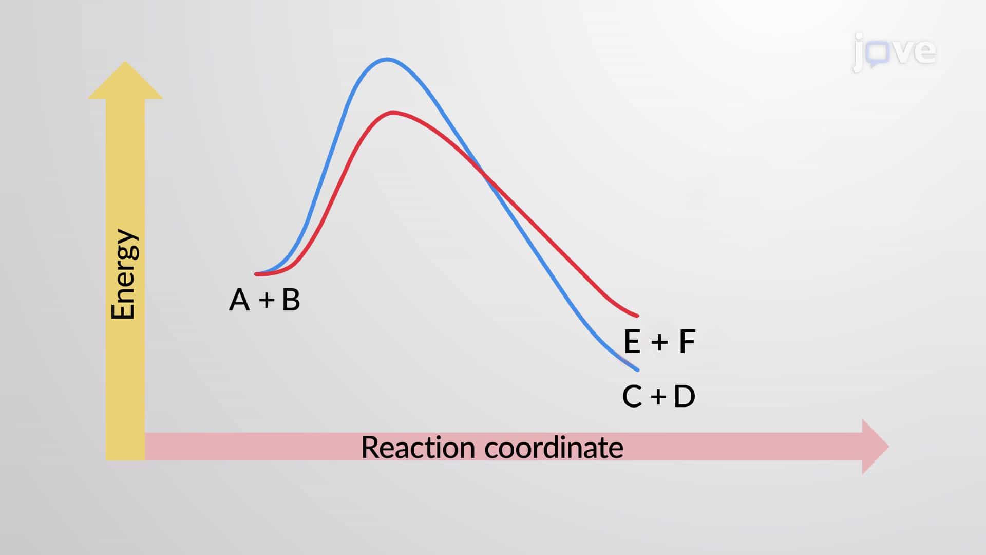 Predicting Reaction Outcomes: Collision Theory