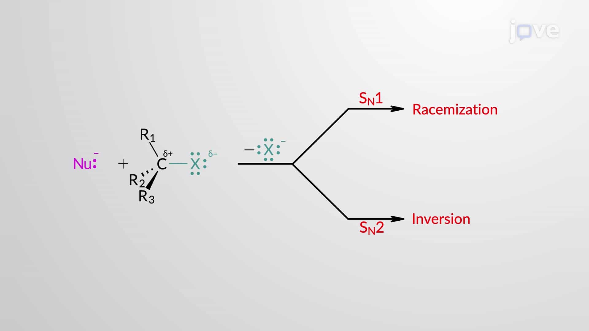 Predicting Products: SN1 vs. SN2