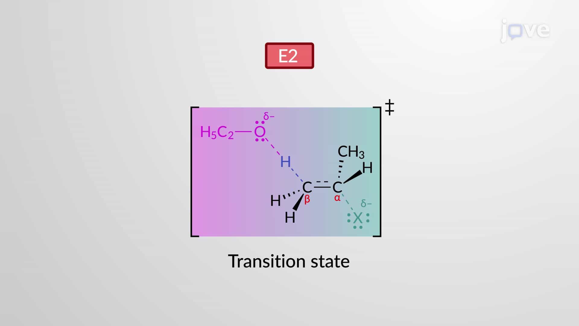 Bimolecular Elimination E2 Reaction: Kinetics and Mechanism