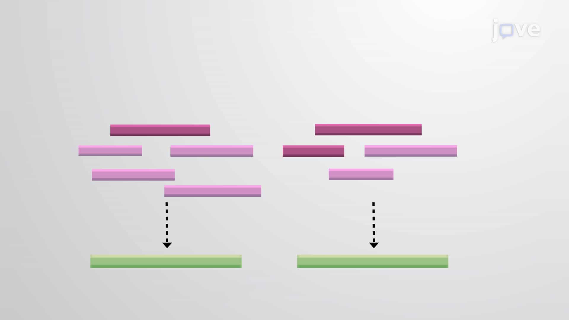 Genome Assembly and Annotation Structural and Functional