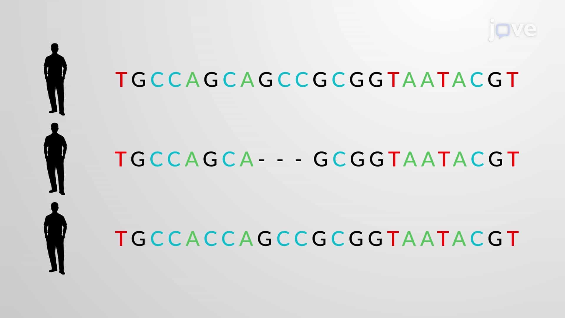Genetic Variations: SNPs, Indels, CNVs