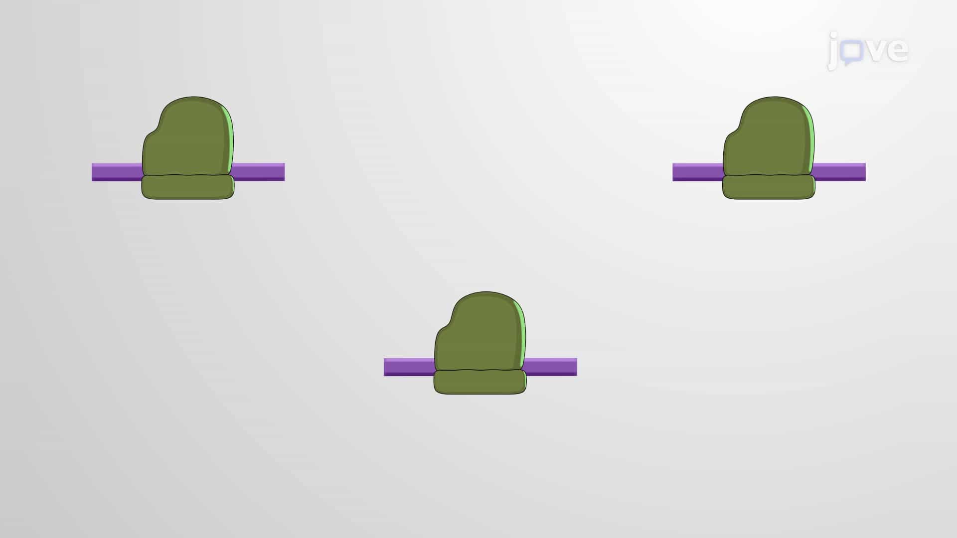 Ribosome Profiling/ Ribo-seq: Principle and Applications