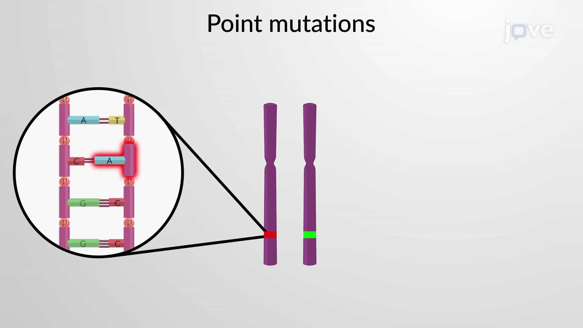 Loss of Tumor Suppressor Gene Functions and Epigenetic Factors