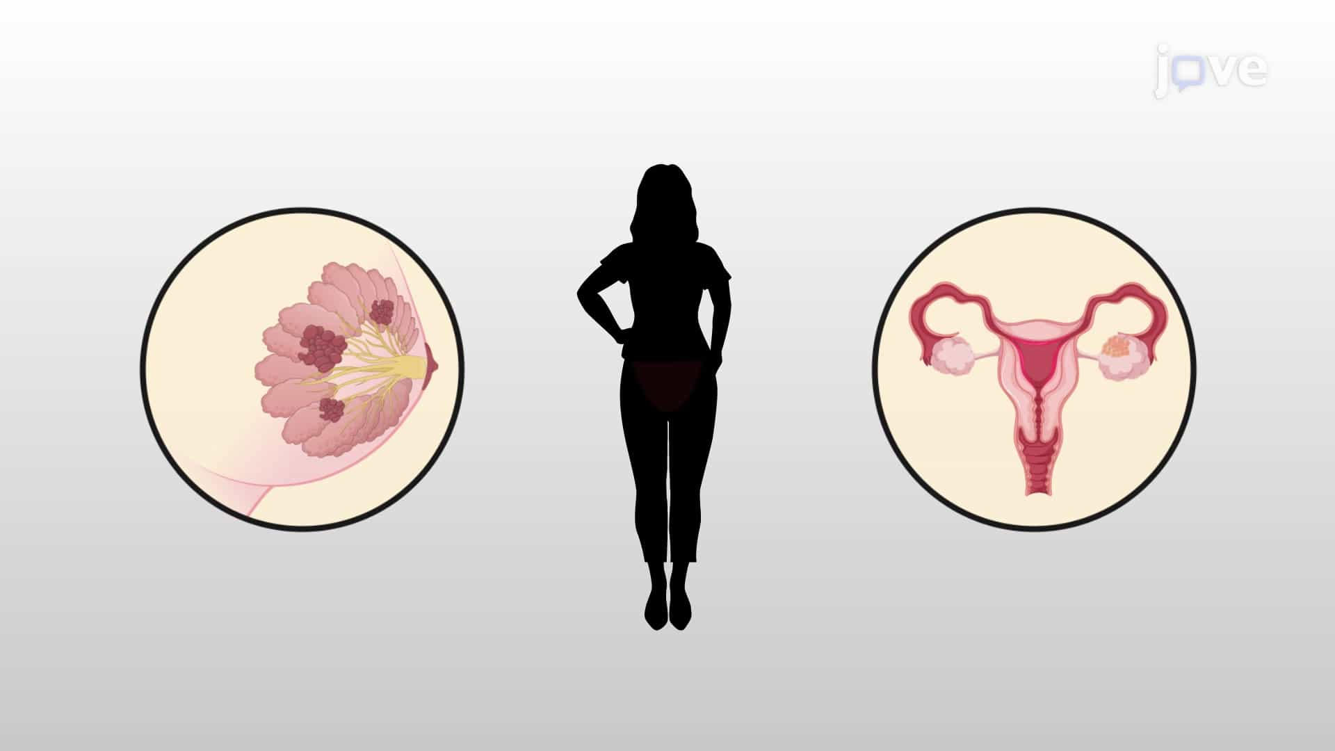 Targeted Cancer Therapies: Imatinib Mesylate and Trastuzumab