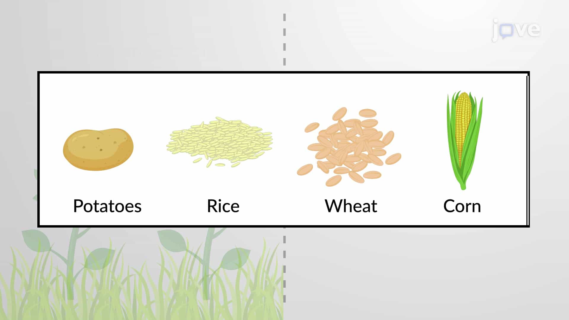 Sugars as Energy Storage Molecules