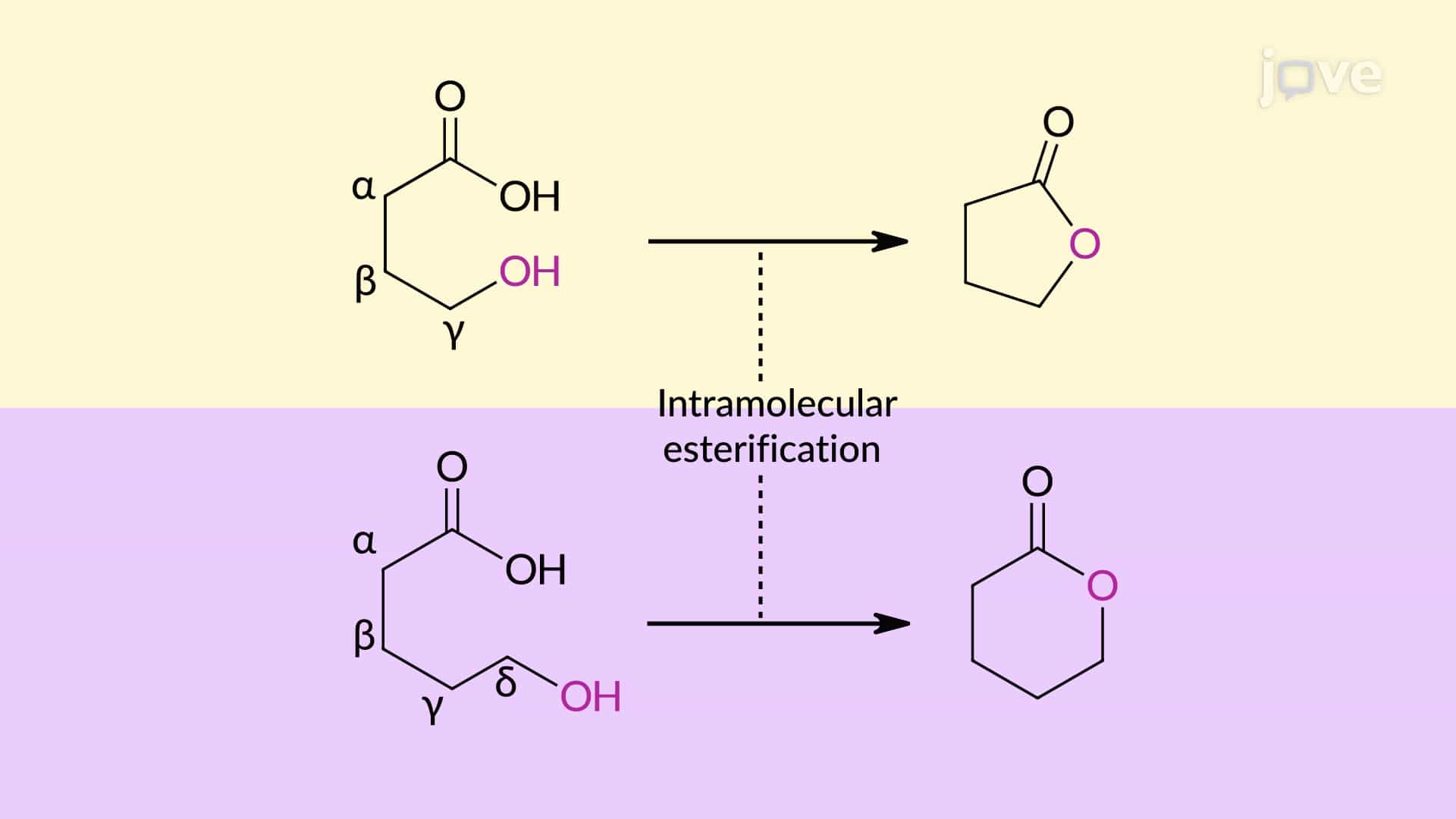 Carboxylic Acids to Esters: Acid-Catalyzed Fischer Esterification Overview