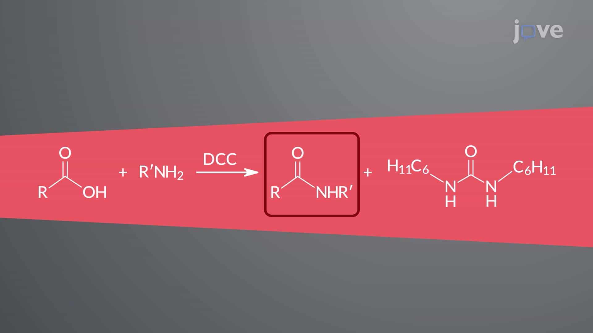 Preparation of Amides
