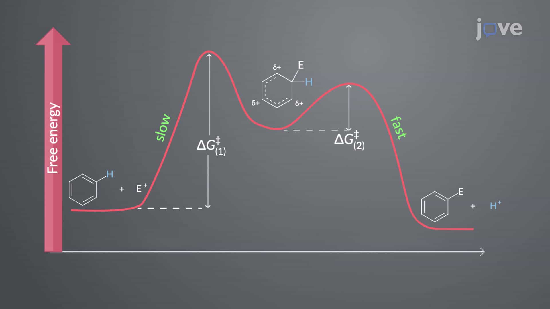 Electrophilic Aromatic Substitution: Overview