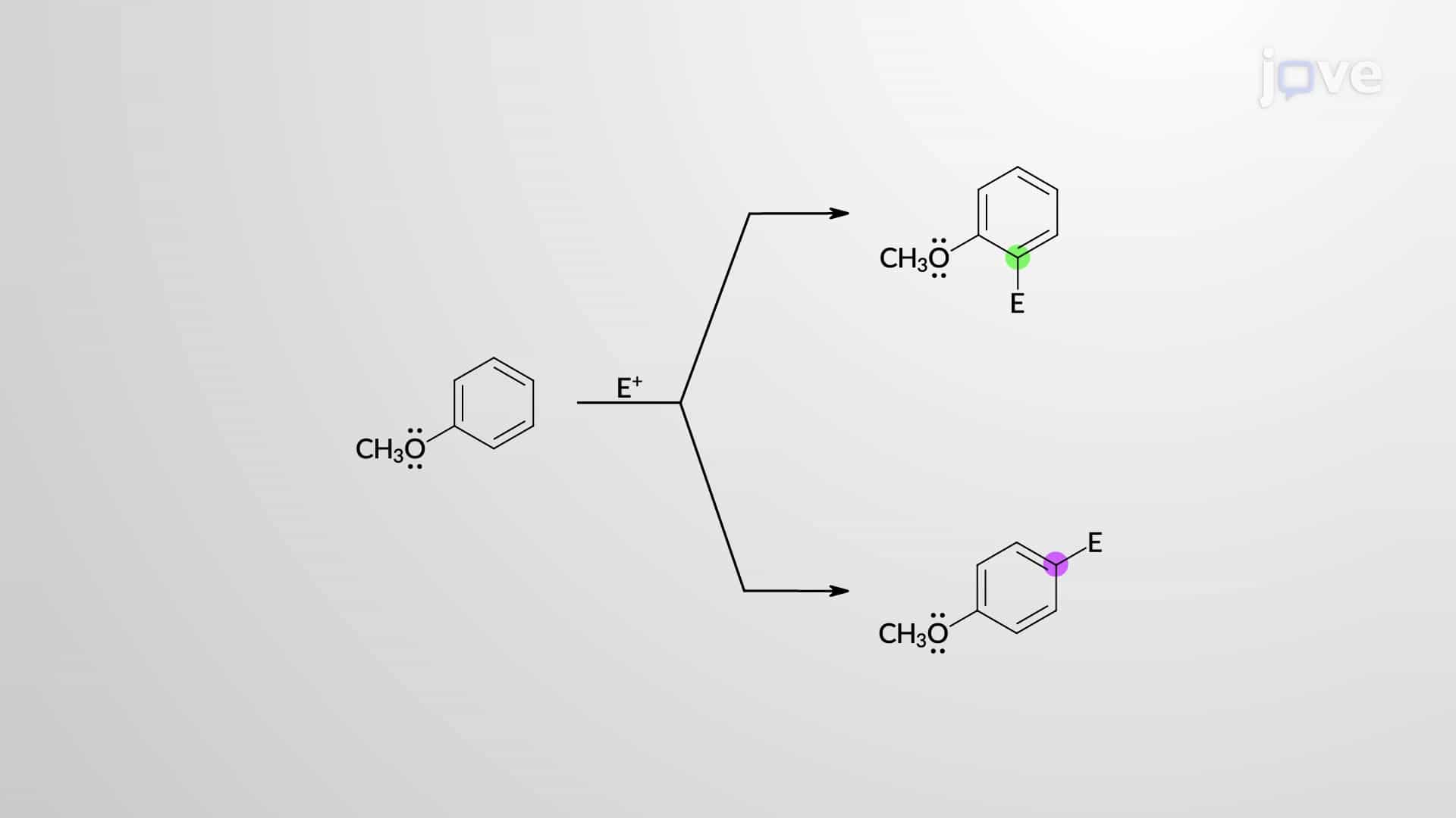 ortho–para-Directing Activators: –CH3, –OH, –&NoBreak;NH2, –OCH3