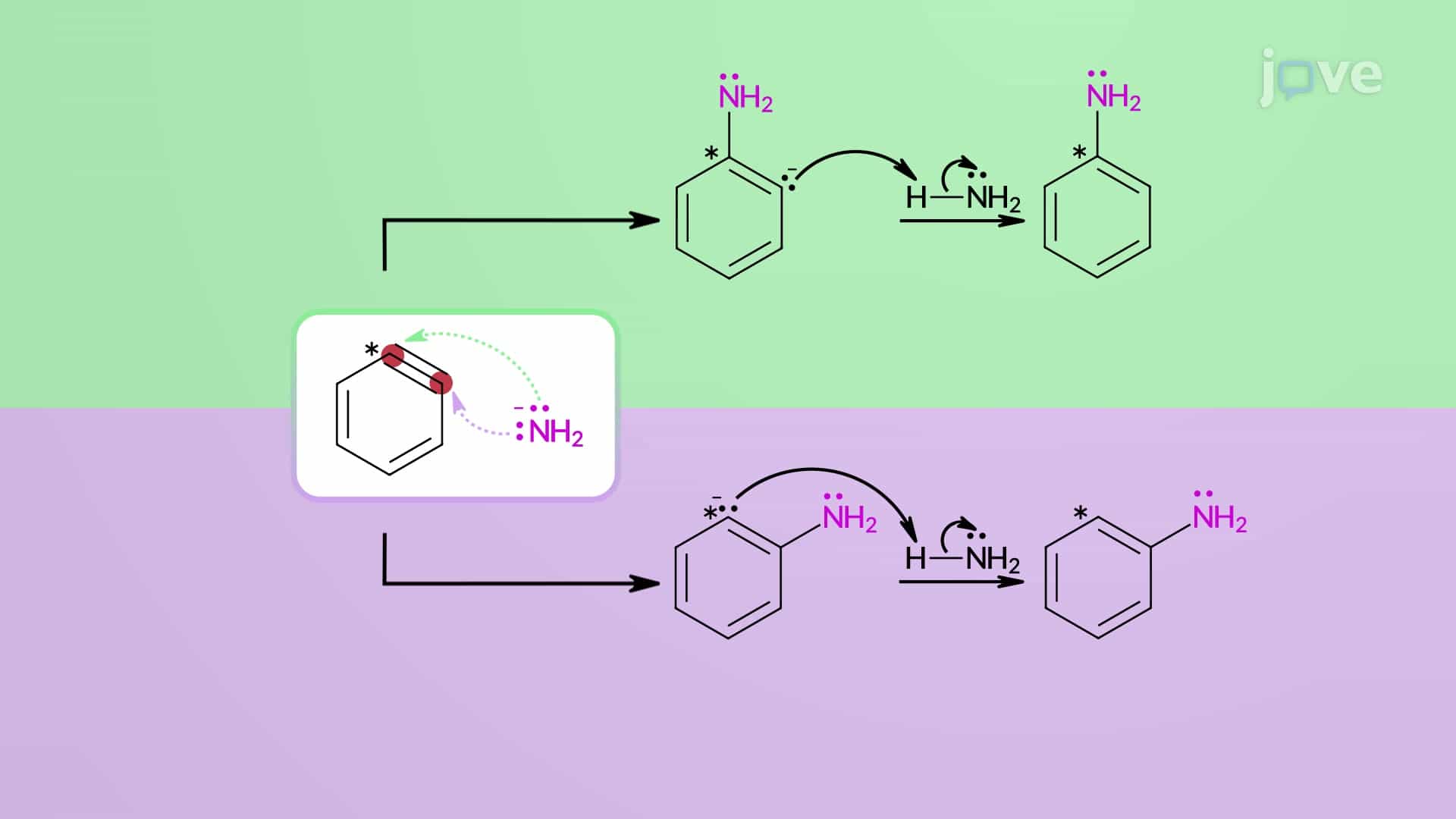 Nucleophilic Aromatic Substitution: Elimination&amp;#8211;Addition