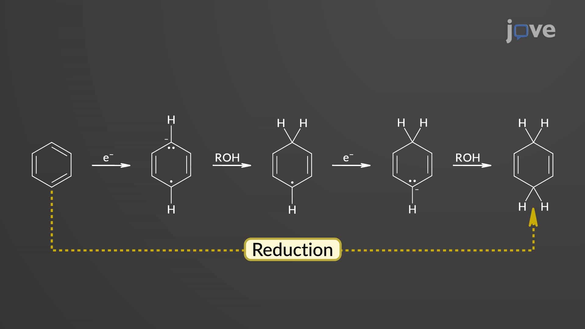 Benzene to 1,4-Cyclohexadiene: Birch Reduction Mechanism