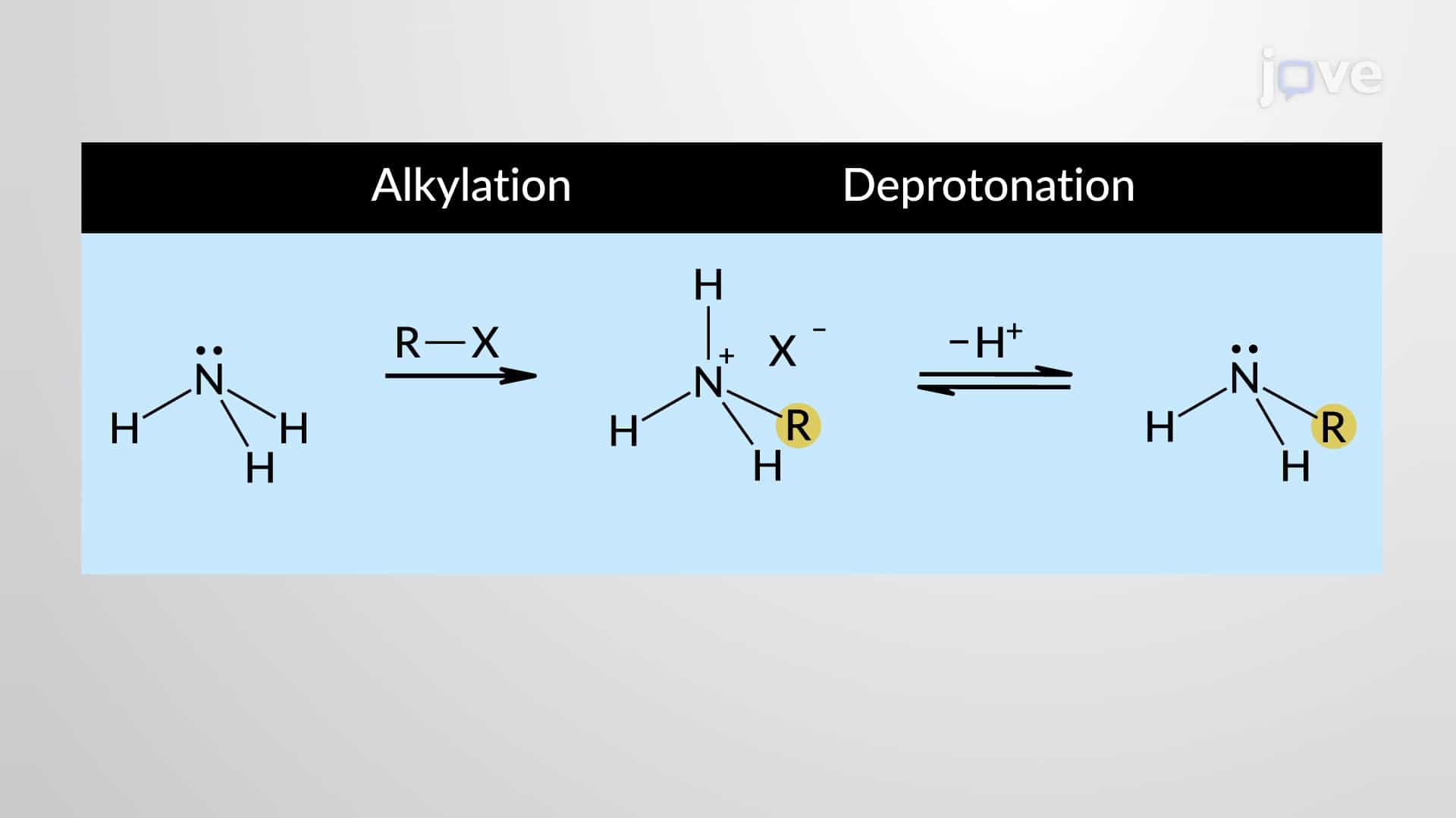 Preparation of Amines: Alkylation of Ammonia and Amines